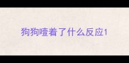 狗狗噎着了什么反应