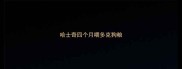 哈士奇四个月喂多克狗粮