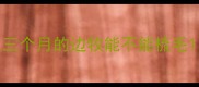 三个月的边牧能不能梳毛