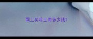 网上买哈士奇多少钱