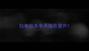 拉布拉多冬天放在室外