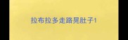 拉布拉多走路晃肚子