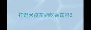 打逛犬疫苗能吃番茄吗