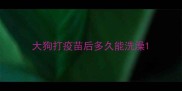 大狗打疫苗后多久能洗澡
