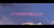 3个月狗狗拉稀怎么办