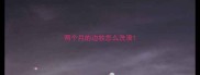 两个月的边牧怎么洗澡