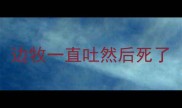 边牧一直吐然后死了