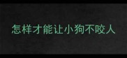 怎样才能让小狗不咬人