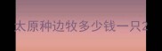 太原种边牧多少钱一只