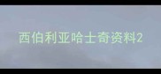 西伯利亚哈士奇资料
