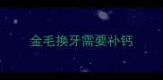金毛换牙需要补钙