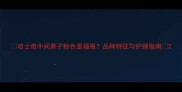 哈士奇中间鼻子粉色是福报品种特征与护理指南