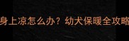 刚生的小狗身上凉怎么办幼犬保暖全攻略及护理误区