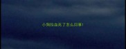 小狗拉血死了怎么回事