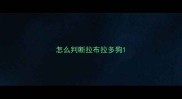 怎么判断拉布拉多狗