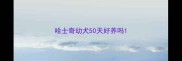 哈士奇幼犬50天好养吗