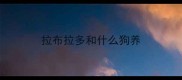拉布拉多和什么狗养