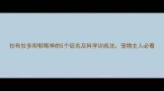拉布拉多抑郁眼神的5个征兆及科学训练法宠物主人必看