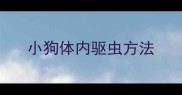 小狗体内驱虫方法