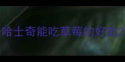 哈士奇能吃草莓的好处