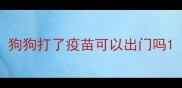 狗狗打了疫苗可以出门吗