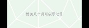 博美几个月可以学动作