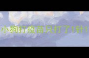 小狗打疫苗只打了1针