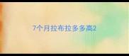 7个月拉布拉多多高