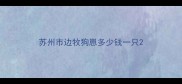 苏州市边牧狗崽多少钱一只
