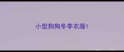 小型狗狗冬季衣服