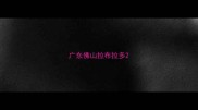 广东佛山拉布拉多