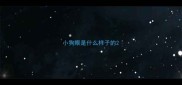 小狗眼是什么样子的