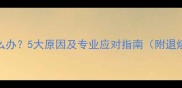 猫咪洗澡后发烧怎么办5大原因及专业应对指南附退烧偏方与预防措施