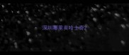 深圳哪里卖哈士奇