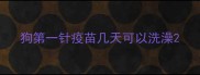 狗第一针疫苗几天可以洗澡