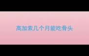 高加索几个月能吃骨头