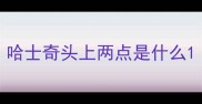 哈士奇头上两点是什么