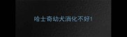 哈士奇幼犬消化不好