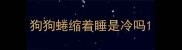狗狗蜷缩着睡是冷吗