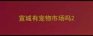宣城有宠物市场吗