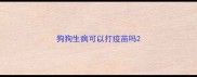 狗狗生病可以打疫苗吗
