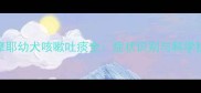 6个月萨摩耶幼犬咳嗽吐痰全症状识别与科学护理指南