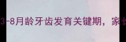 狗狗换牙期全攻略3-8月龄牙齿发育关键期家长必看的护理指南