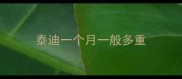 泰迪一个月一般多重