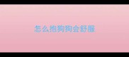 怎么抱狗狗会舒服