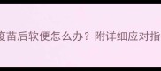 猫咪打疫苗后软便怎么办附详细应对指南