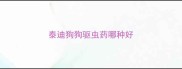 泰迪狗狗驱虫药哪种好