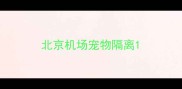 北京机场宠物隔离