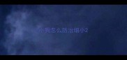 小狗怎么防治细小