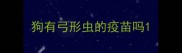 狗有弓形虫的疫苗吗